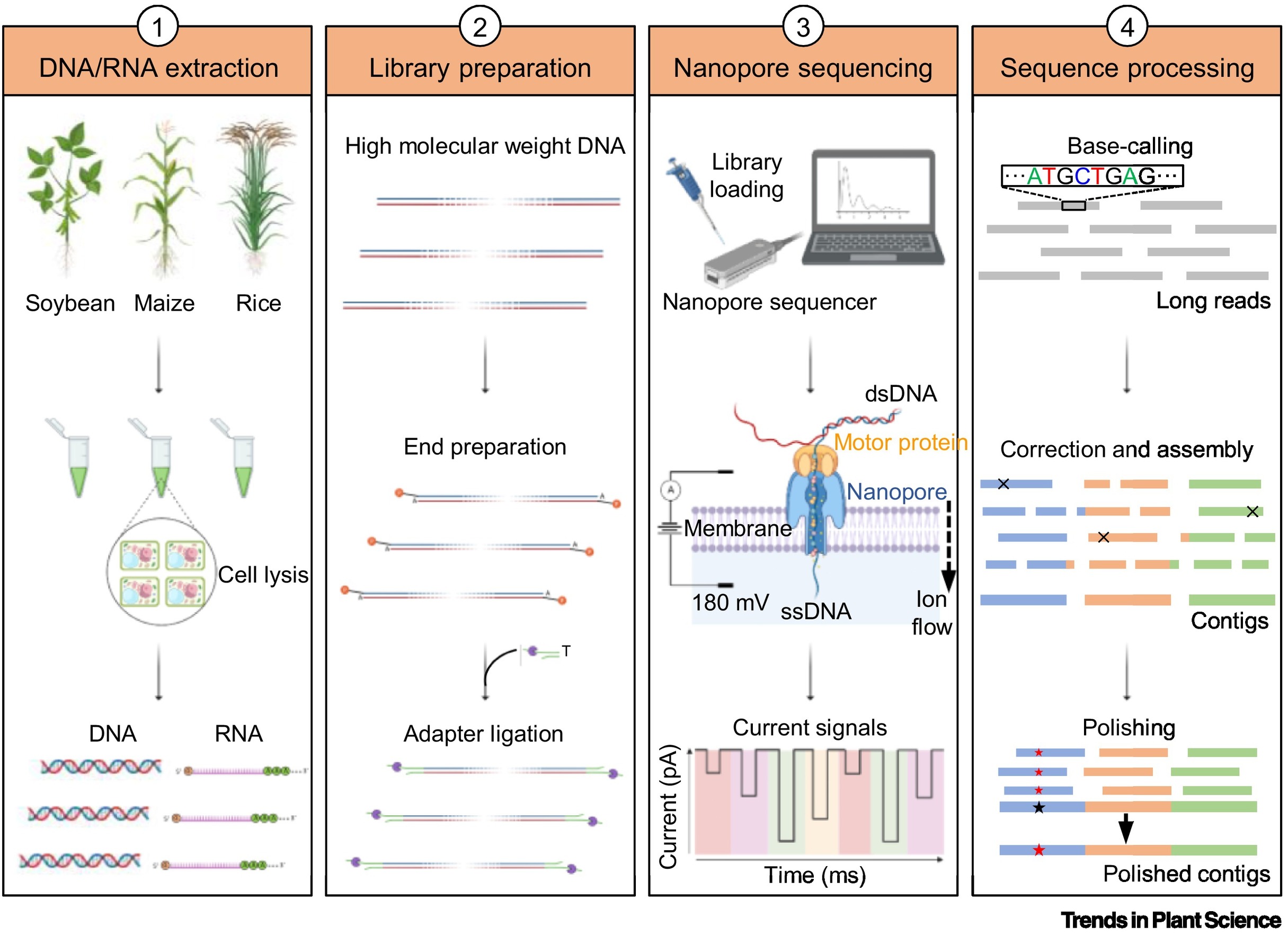 shared sequence technology
