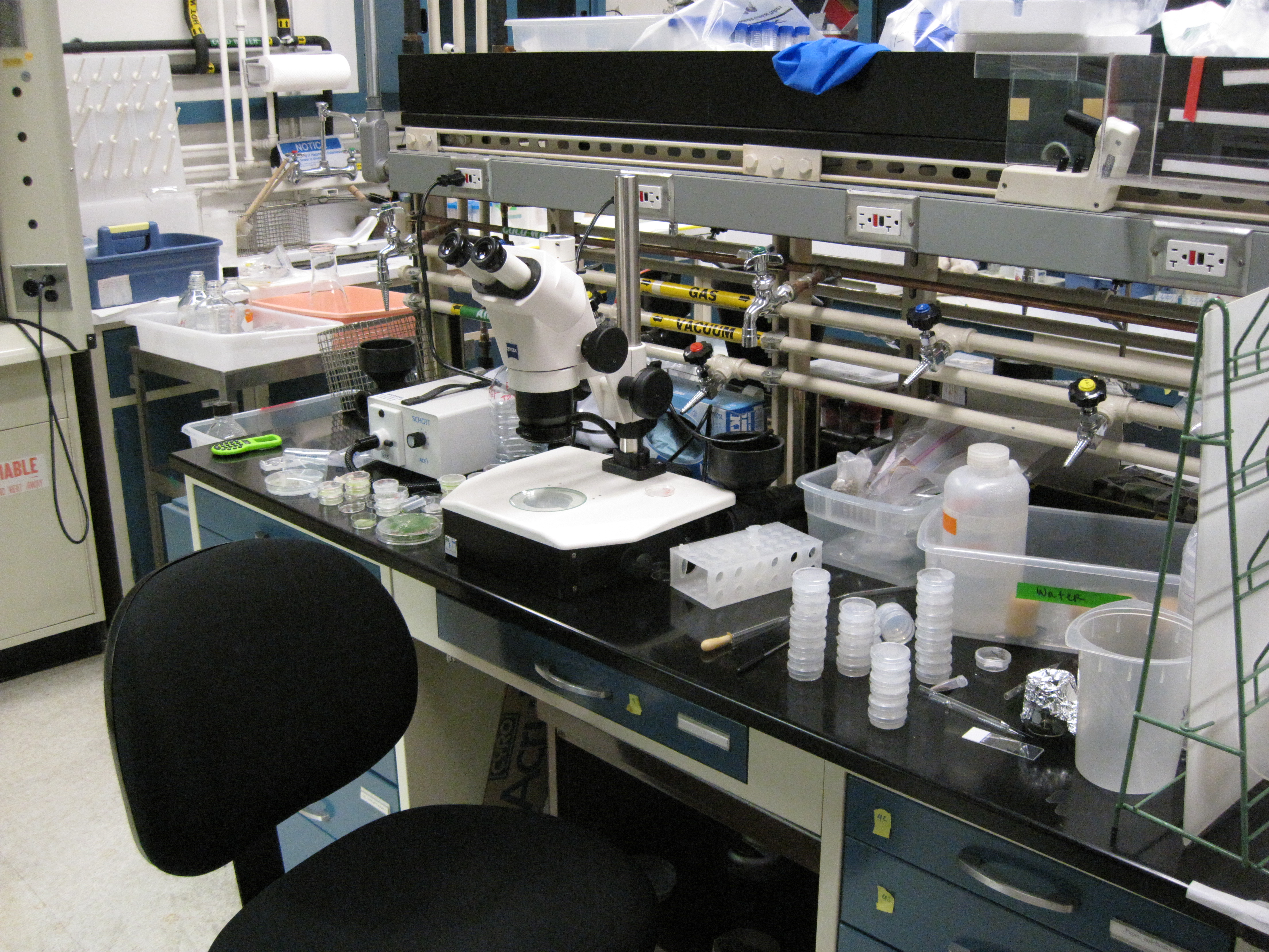 The Rise of Synthetic Biology: How Shared Sequencing is Democratizing Genomics in 2026