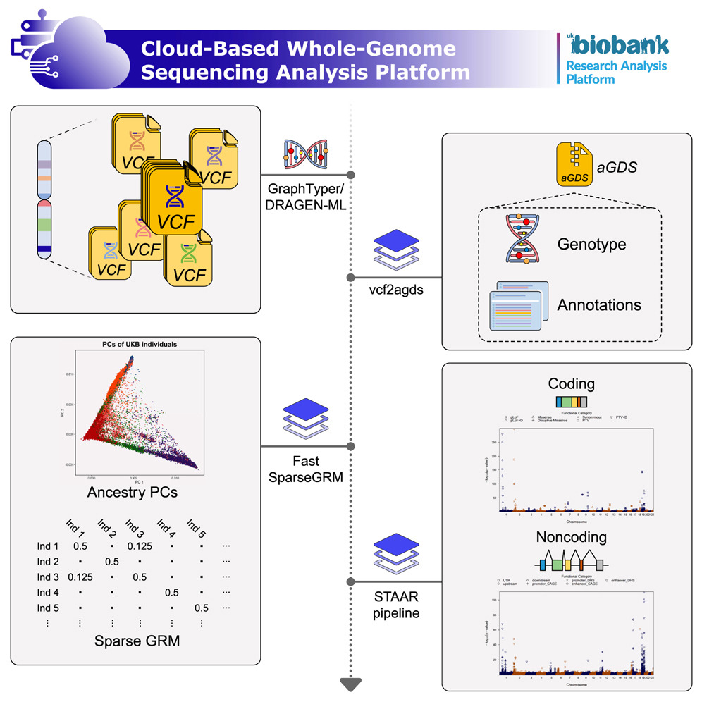 DNA sequencing data platform