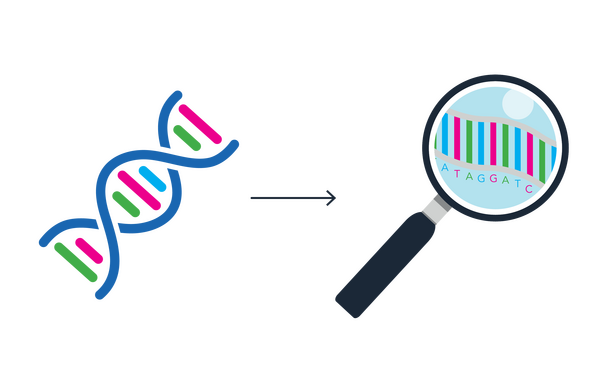 Shared Sequencing 2026: Top Networks for Decentralized Rollups