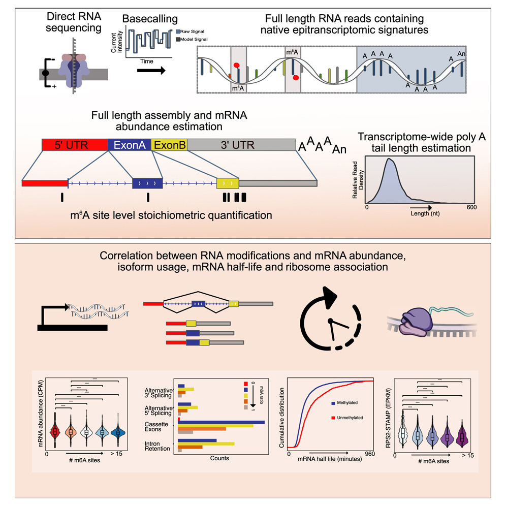 shared sequencing