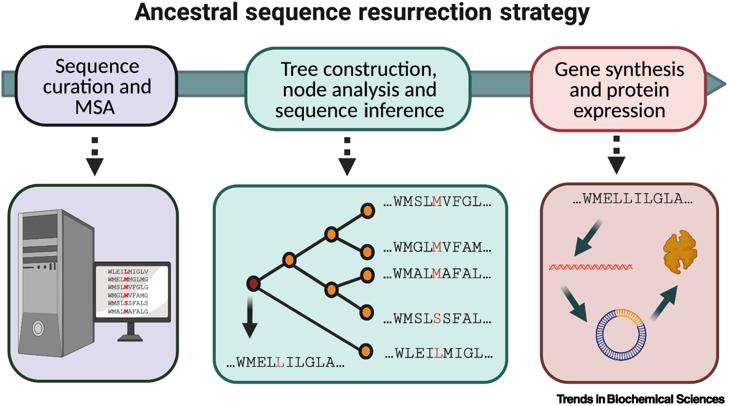 Shared Sequence Data 2026: Privacy Risks in AI Genomics