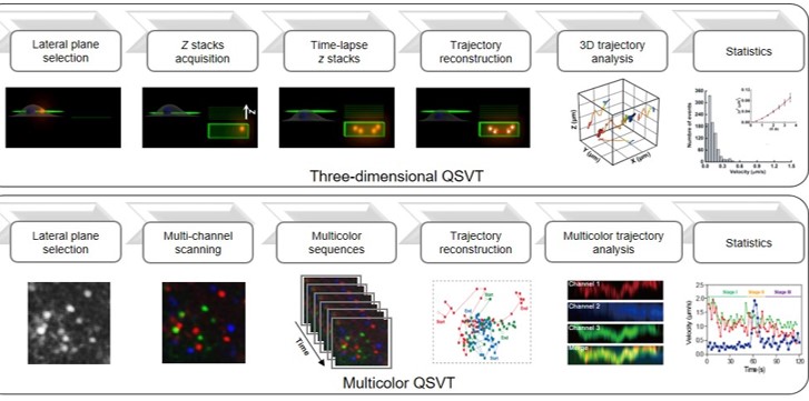 Shared Sequence Tracking