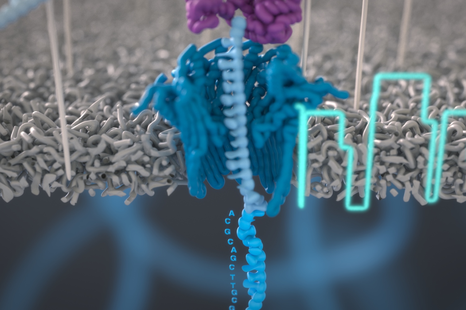 The Shared Sequencing Revolution
