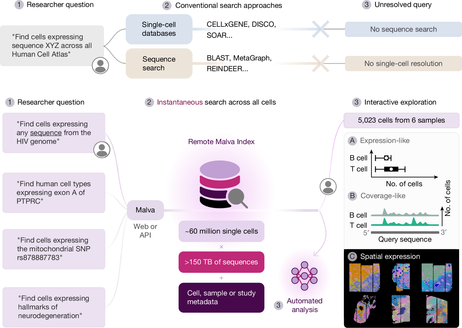 The 2026 Shared Sequence Standard: How Interoperability is Reshaping Data Collaboration