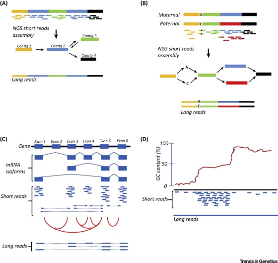 The Shared Sequencing Revolution