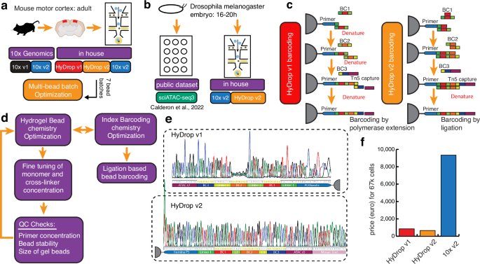 Shared Seq Watch 2026: How AI-Driven Sequence Alignment Is Revolutionizing Real-Time Genomic Monitoring