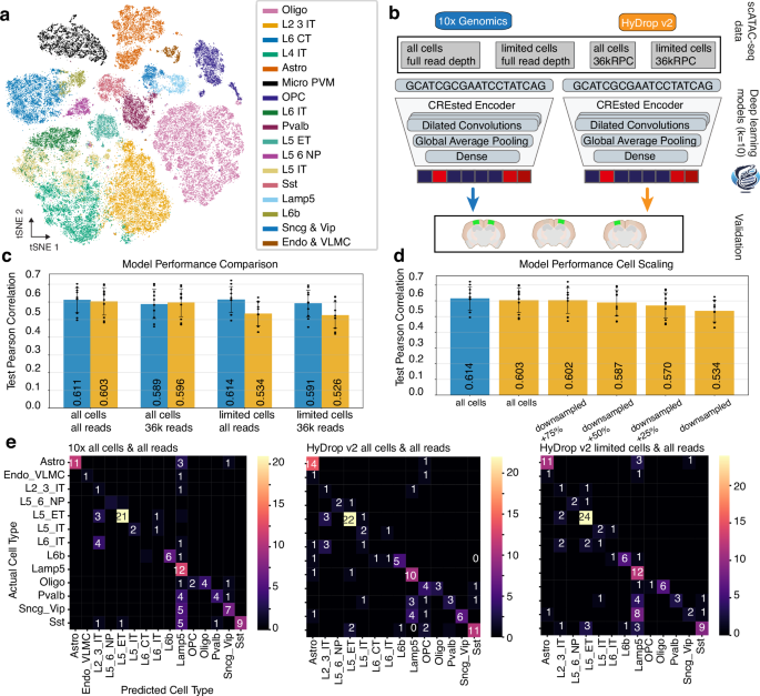 Shared Seq Watch