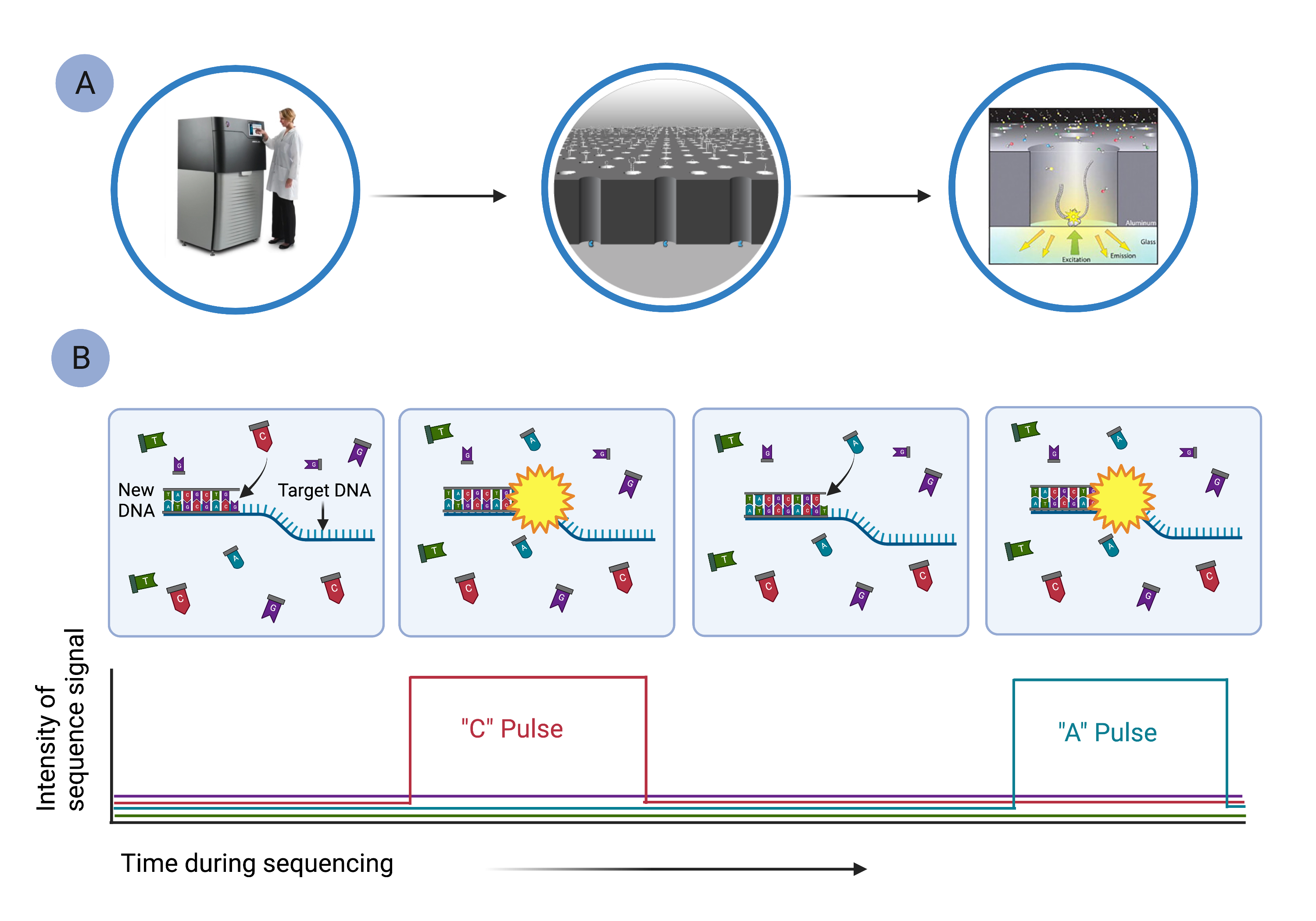 Shared Seq Watch 2026: Best Tools for Real-Time DNA Sequence Sharing
