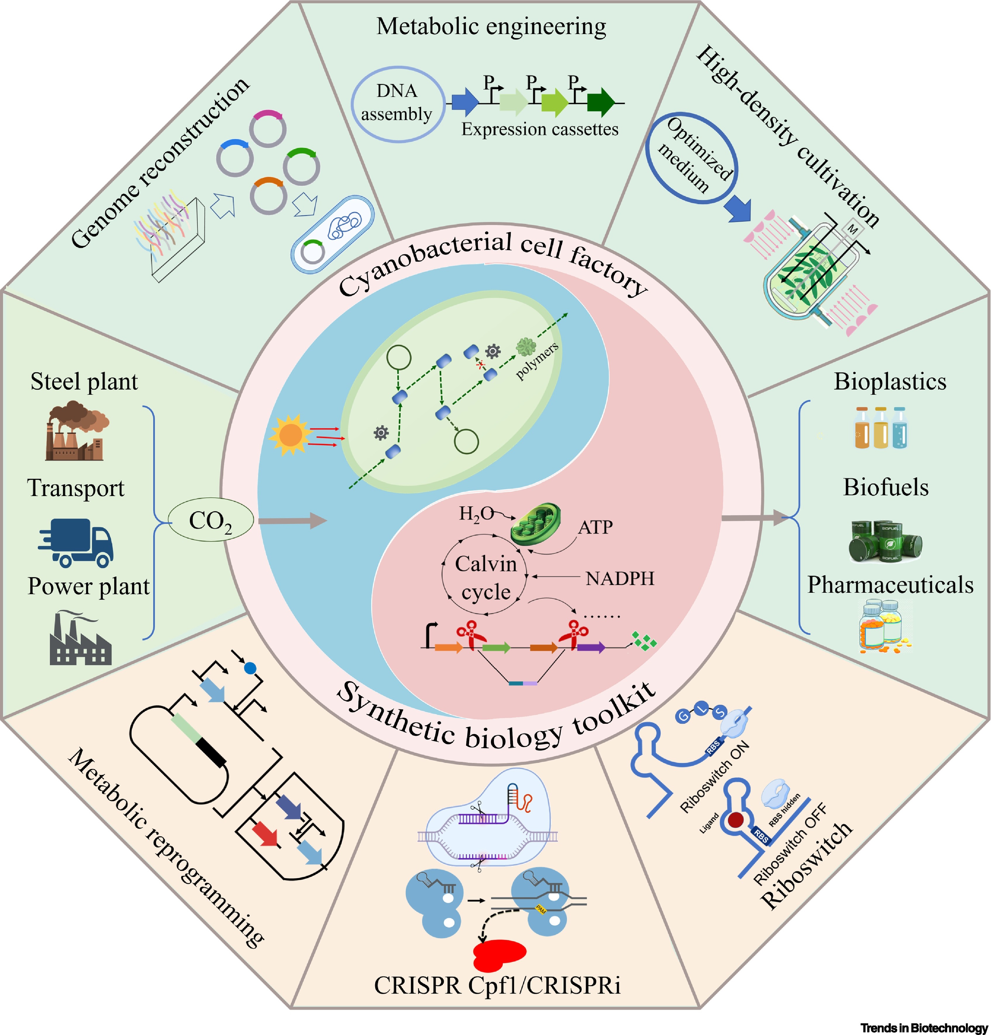 synthetic biology trends
