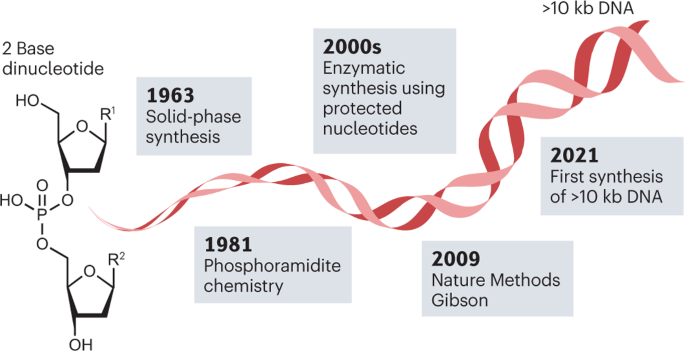 AI in DNA synthesis