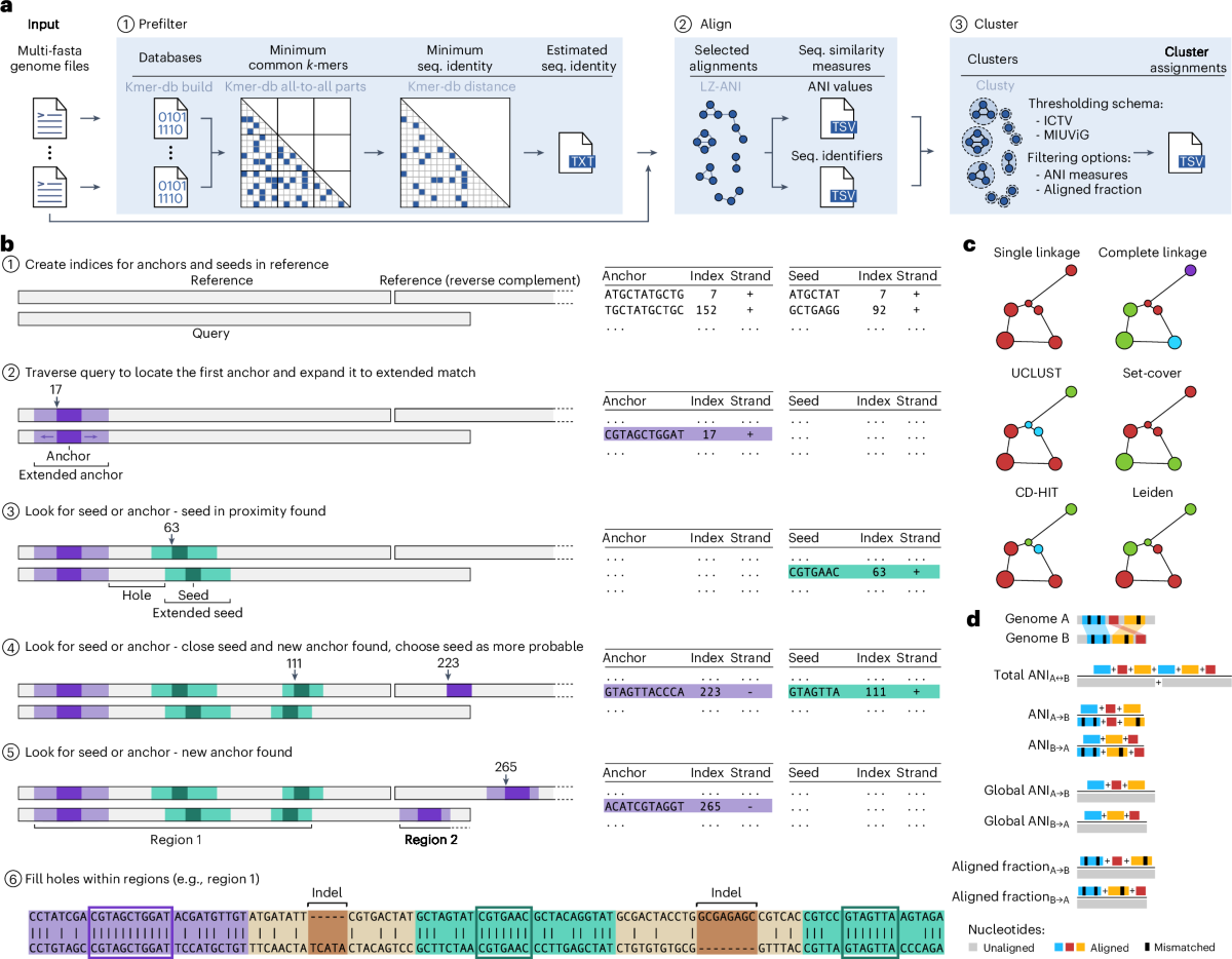 Shared Sequencing 2026: Top Platforms for L2 Rollups
