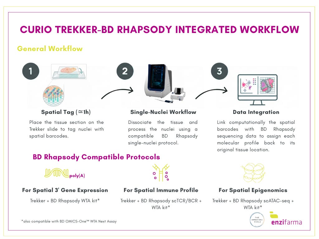 BD Rhapsody Single Cell Analysis System