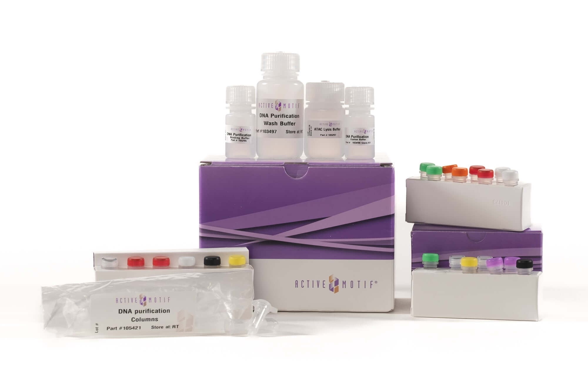 Active Motif ATAC-seq Kit