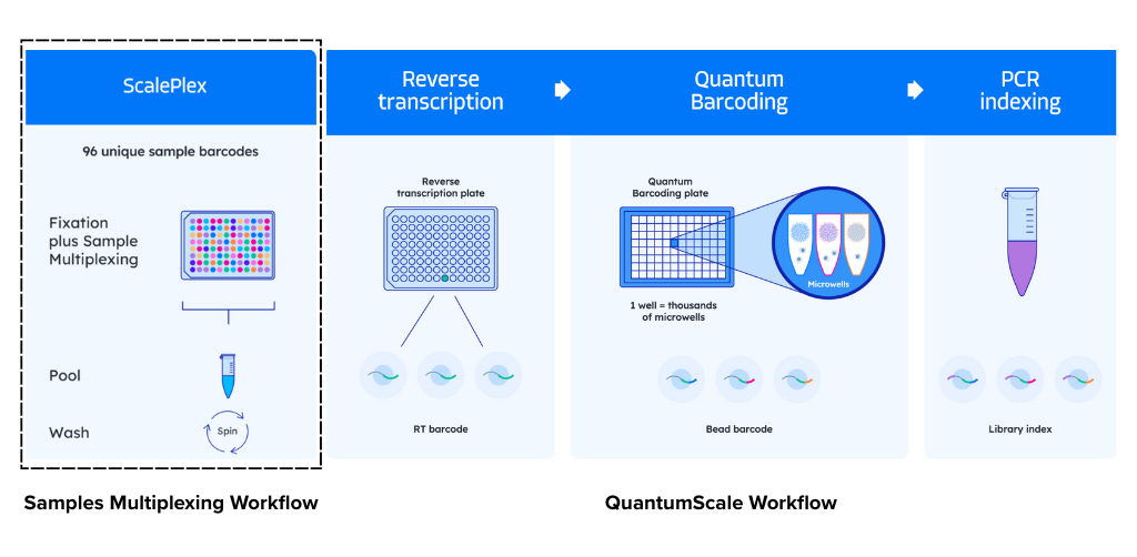 Single Cell RNA Seq Kit