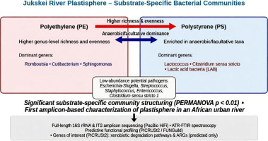 PacBio Sequel IIe System